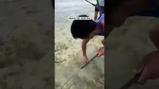 Moray Eel Hunting #shortvideo #youtubeshorts #fishinglife #morayeel #shorts #short
