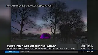 Art Show Set Up On Esplanade's Hatch Shell