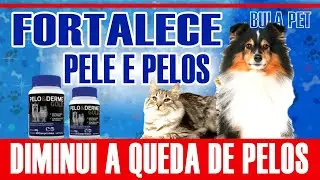 Suplemento Vitam&iacute;nico Pelo e Derme Gold