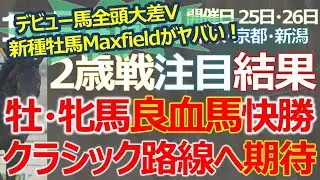 【２歳戦結果】新種牡馬Maxfield産駒がヤバい！デビュー産駒２頭とも大差V！仏ダービー馬Study of Man産駒「キッコベッロ」抜群のキレも負けて強し☆