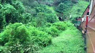 Sri Lanka Railways M6,783 through the paradise