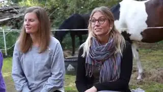Pferdegestütztes Coaching in Ottersberg bei Bremen - Weiterbildung Kommunikation Führungskräfte