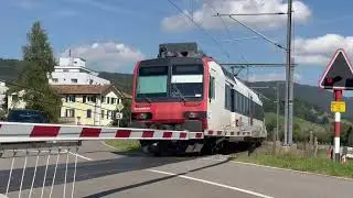 Compile de Domino