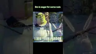Hungry For Nuts #gaming #funny #clips #memes #shrek #donkey
