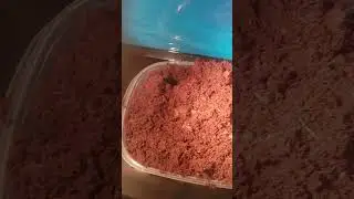 THE ECO EARTH IS READY FOR LEOPARD GECKO ENCLOSURE
