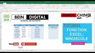 Transformer texte majuscule en minuscule dans Excel - Fonction Minuscule