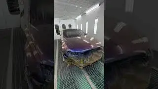 #octoral #carpainting