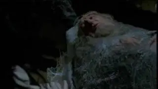 The infection and the course of the changes from a spider demon