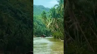Kerala Natural Reserves