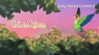 Bird Kind &ndash; Species Highlight