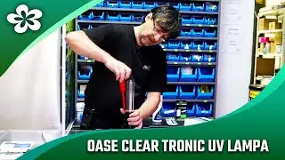 Oase ClearTronic UV lampa - jak ji používat ve sladké a mořské vodě?