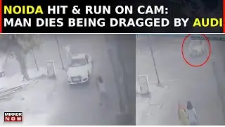 Noida Hit And Run Horror: Elderly Man Crossing Road Hit By Speeding Audi, Dies; CCTV Captures Moment