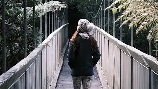 Tara Valley Walk