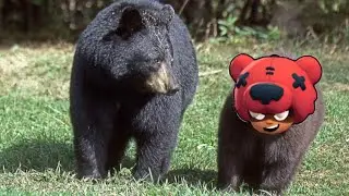 Nita.EXE