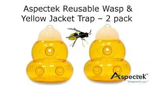 Wasp Trap Demo