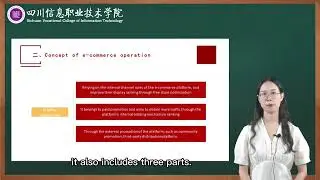 1 1  E commerce operation cognition