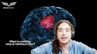 Mastering Fear: Understanding How Your Brain Reacts and Overcomes #overcomefear #trauma #fear