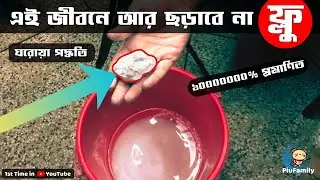 ঘরোয়া পদ্ধতিতে এই একটি কাজ করলে এই জীবনে বিড়ালের &lsquo;ফ্লু&rsquo; রোগ আর ছড়াবে না 😲 ১০০% কার্যকরী | CAT FLU