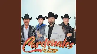 Consuelito de mi Vida-Los Cardenales de Sinaloa /Primeras Grabaciones