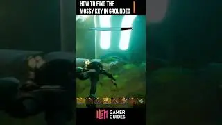 How to Find the Mossy Key in Grounded #shorts
