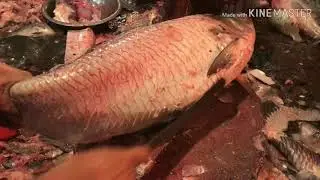 Beautiful Fish Cutting Skills In Bangladesh Fish Market II Big Rui Fish Cutting Video