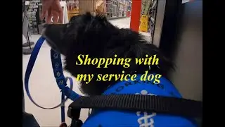 Taking my service dog to Canadian Tire #shoppingwithaservicedog #publicaccess