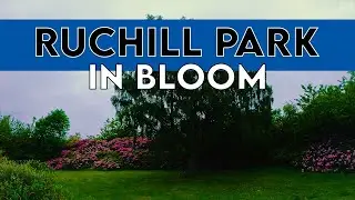 Glasgow Park in Bloom, Summer 2021 | Short Cinematic Film