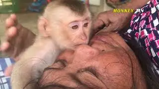 Cuteee Little Monkey Kissing Mommy Full Of L0ve