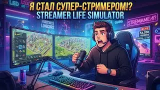 Streamer Life Simulator №5