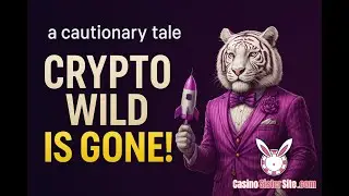 CryptoWild Casino VANISHED &mdash; The Red Flags You MUST Know