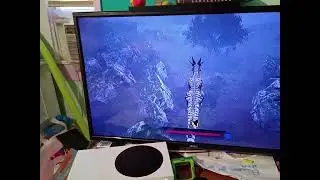 PoT pachy jump lol