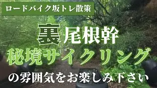 【ロードバイク】都内近郊の秘境散策～裏尾根幹往復サイクリング～