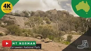 MOUNT NORMAN - SOLO Attempt to SUMMIT | Girraween National Park 4K