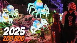 Хьюстонский зоопарк Бу 2025 | После наступления темноты