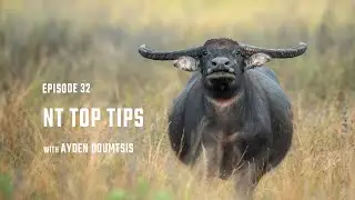 Episode 32 - &ldquo;NT Top Tips&rdquo; - The Twin Elements Podcast - With Ayden Doumtsis
