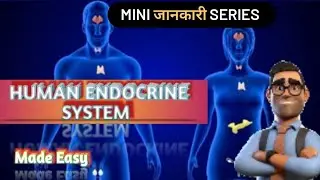 Human Endocrine System || Mini Jankari Series || It's My Life ||