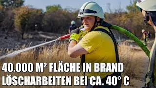 Großer Flächenbrand in Köln: Feuerwehr bei knapp 40° C an der Belastungsgrenze | 19.07.2022