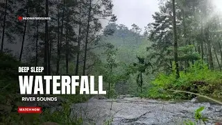 Relaxing River and Small Waterfall Sounds &ndash; 1.5 Hours in Indonesian Pine Forest