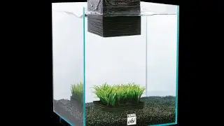 FLUVAL CHI