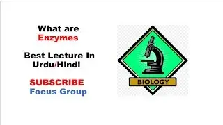 What are Enzymes || Introduction Of Enzymes || Lecture in Urdu/Hindi