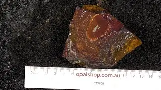 Ro3700 - Koroit nut opal material from Queensland Australia