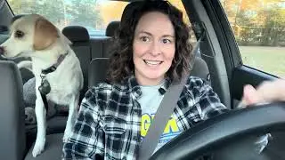 Commute to Walmart with Rosie
