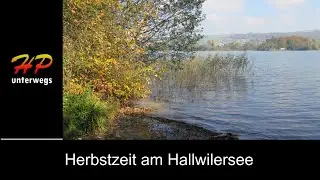 Hallwilersee-Uferweg:         Aus dem Nebel an die Sonne