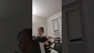 Erin Lee BYU Flute Audition (Mozart Concerto)