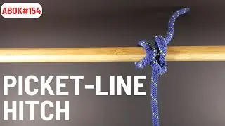 How to Tie Your Horse to A Post with ABOK154 | How to Tie the Picket Line Hitch