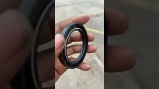 Double lip seal