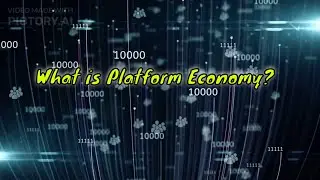 What is Platform Economy?