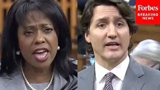 'These Are The Words Of A Failed Leader!': Conservative MP Rips Trudeau During Parliament Session