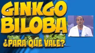 GINKGO BILOBA - &iquest;Para qu&eacute; vale?
