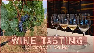 Wine Tasting in the Okanagan | Okanagan, BC